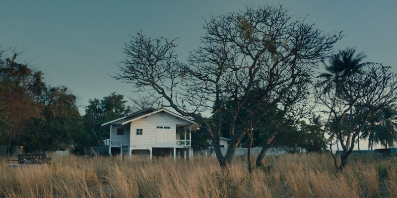 The Time It Gets Dark  + The Dreamed Path (A. Suwichakornpong, Angela Schnalec)