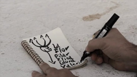 SIGNS OF CHAOS (4) &ndash; La Flor (Mariano Llin&aacute;s)